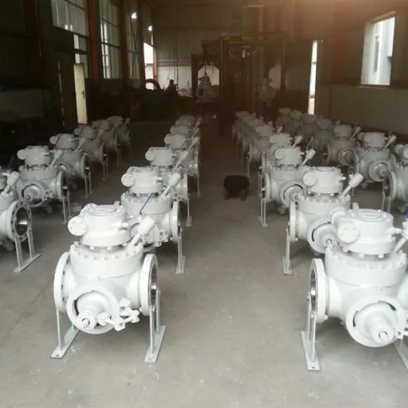 ASME B16.5 Flange Pig Valve