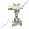 Electric Globe Valve