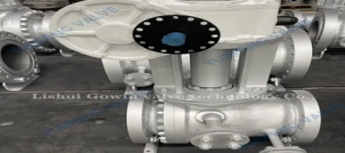 gwvvalve