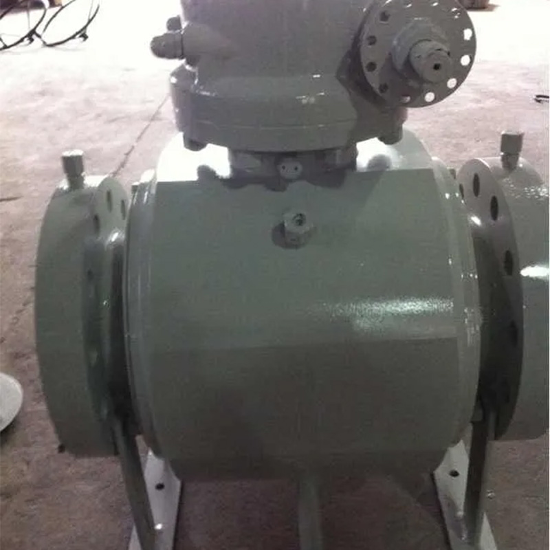 ASME B16.5 Flange Pig Valve