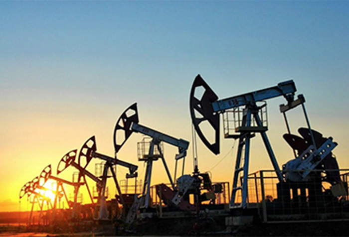 Petrochemical Industry