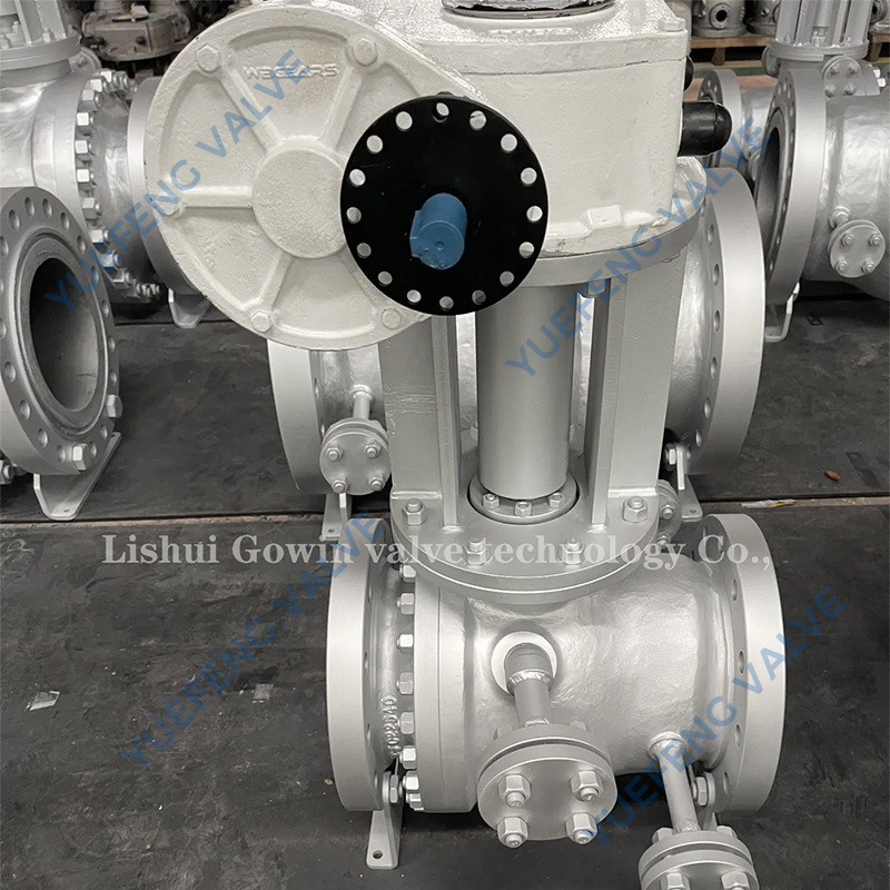 Stainless Steels Ring Type Backpressure Coker Casting Ball Valve Solenoid Control Valve