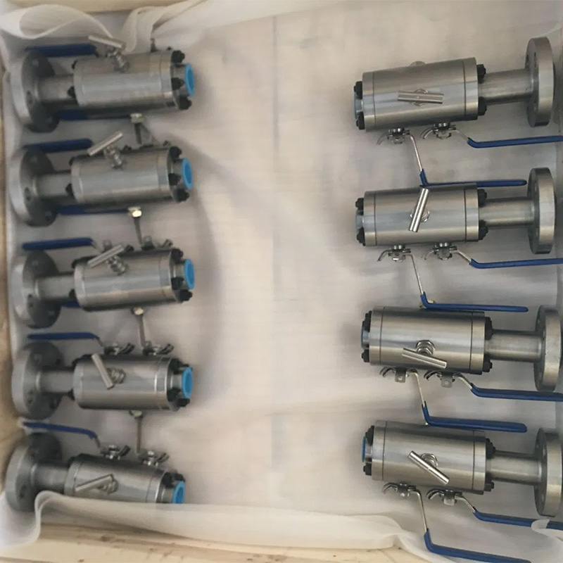 Double Block and Bleed Flange &NPT Ball Valve