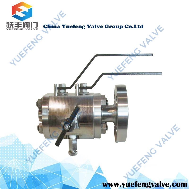 Double Block and Bleed Flange &NPT Ball Valve