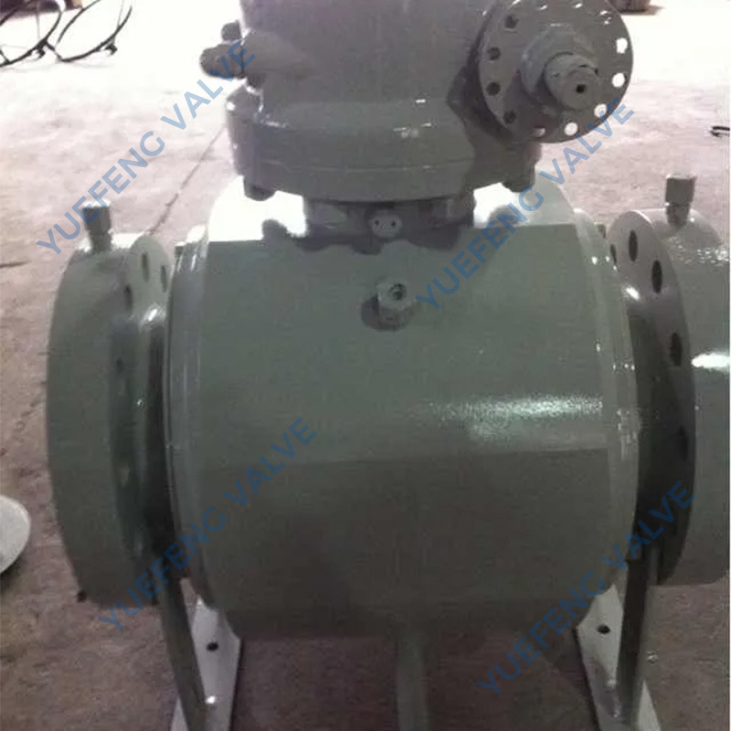 ASME B16.5 Flange Pig Valve