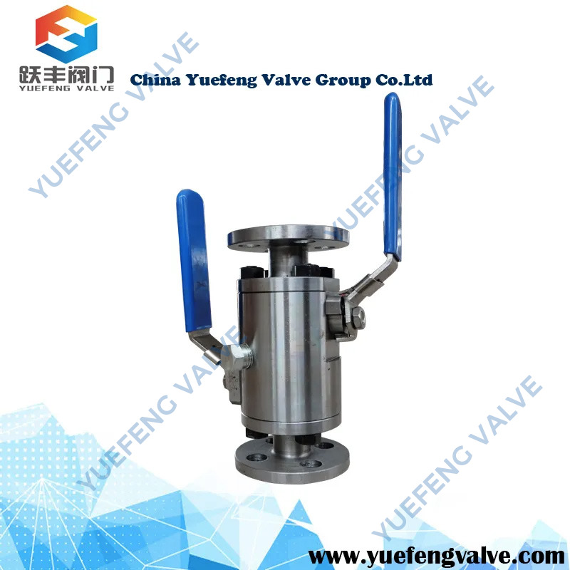API 6D Double Block & Bleed Stainless Steels Forged Injection Ball Valves for Hydrogen Energy Applications