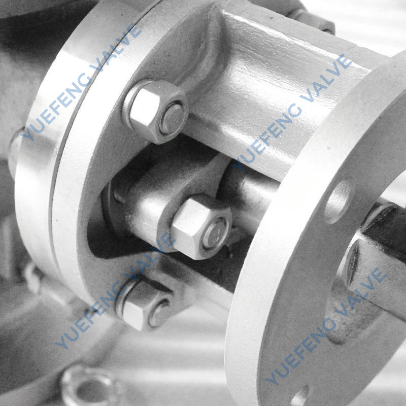 904L Stainless Steel Flanged Ball Valve