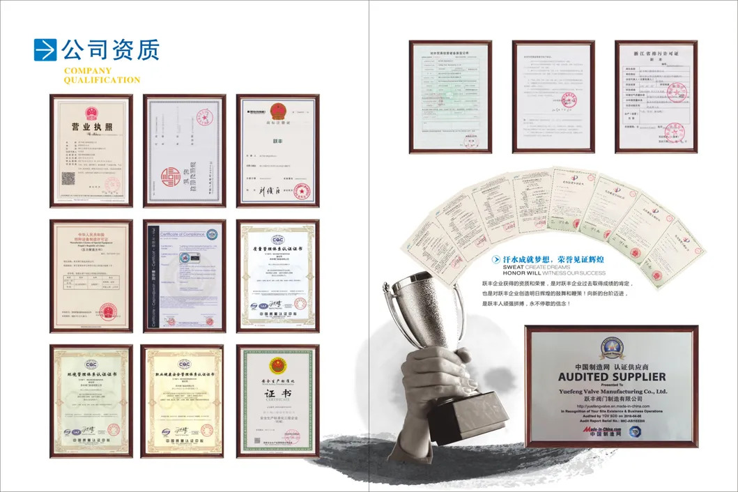 Company Qualification